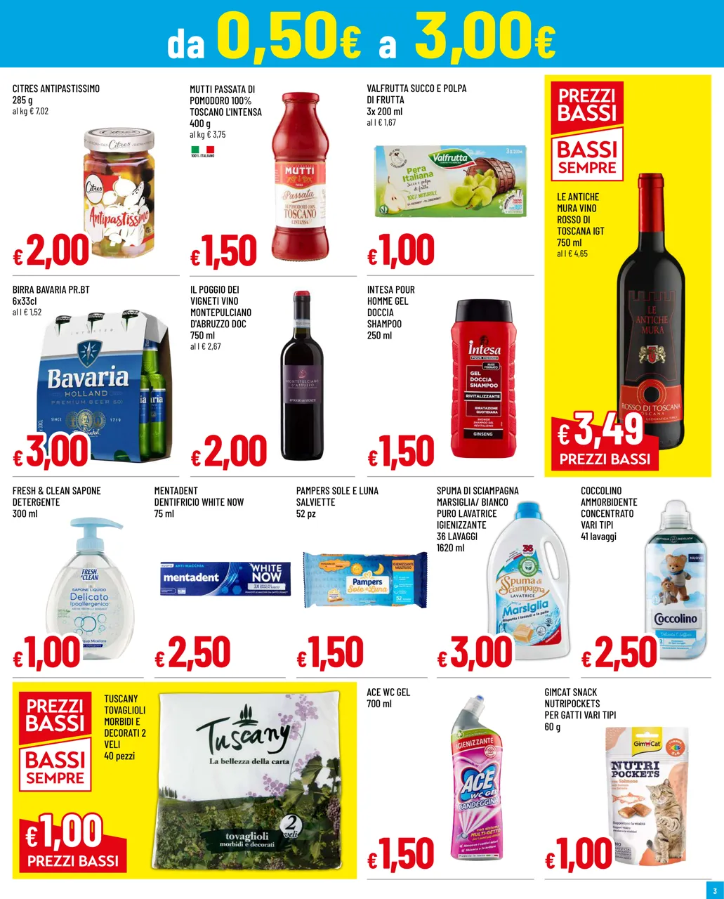 Pagina 3