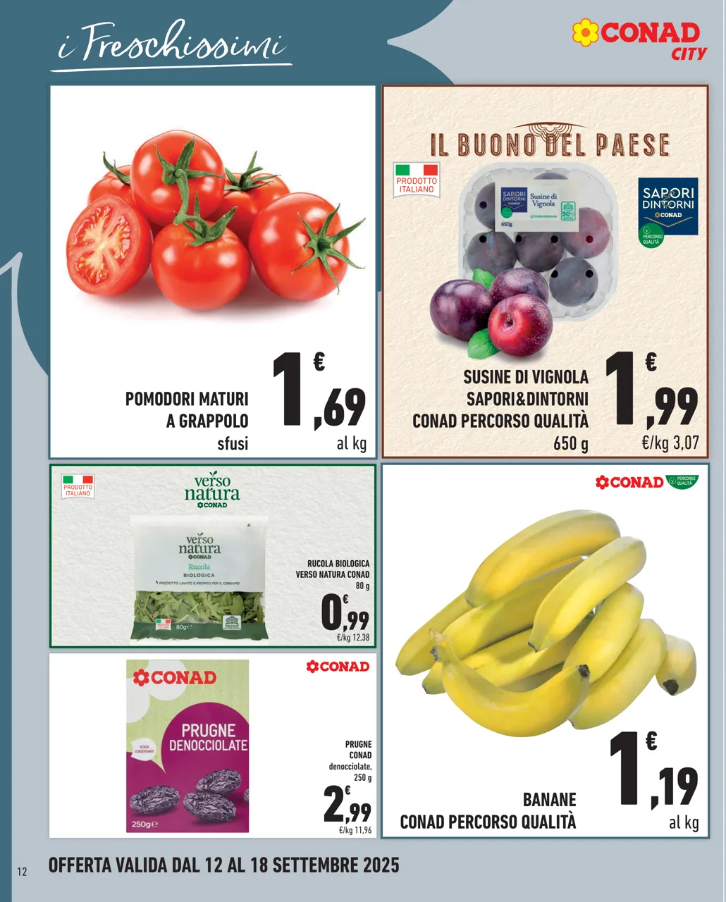 Pagina 12