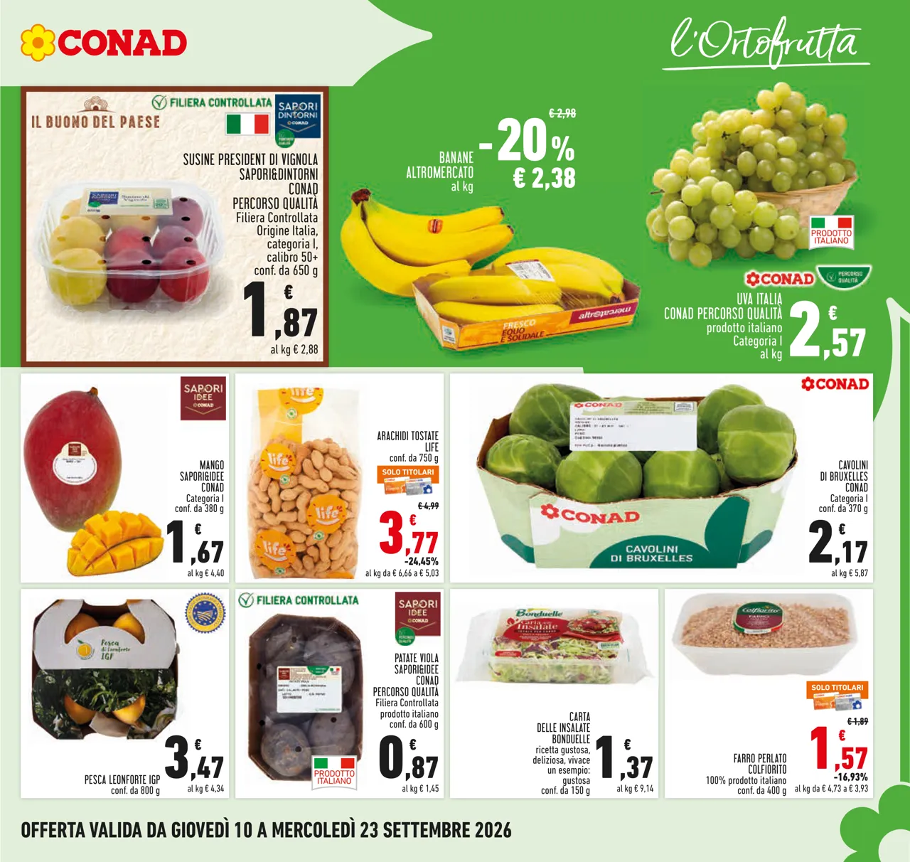 Pagina 7