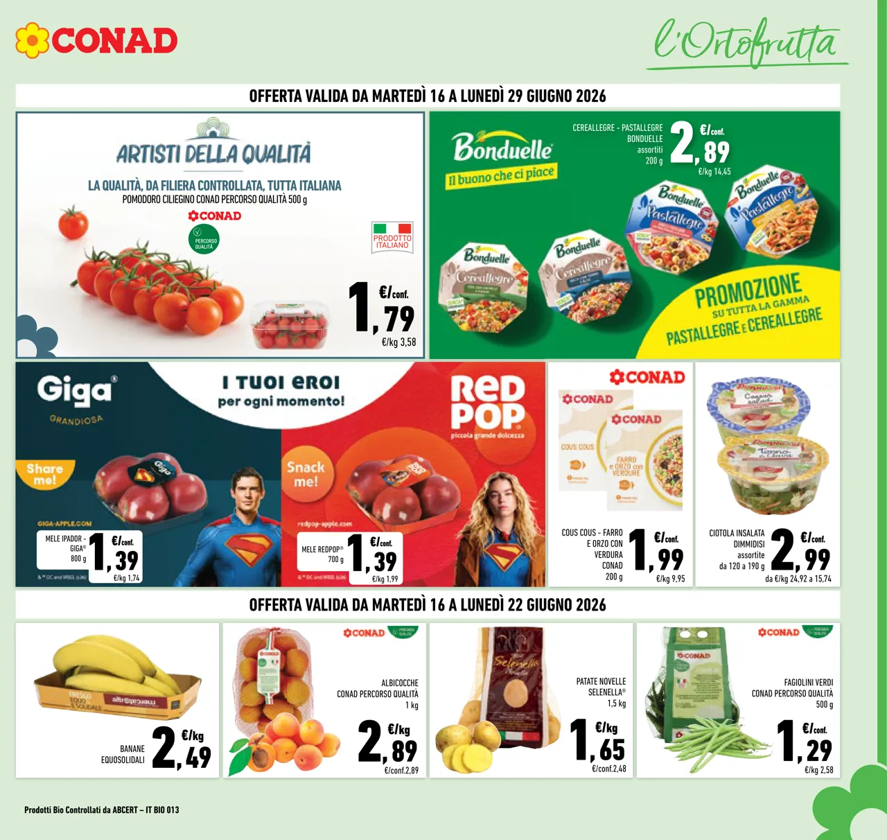 Pagina 3