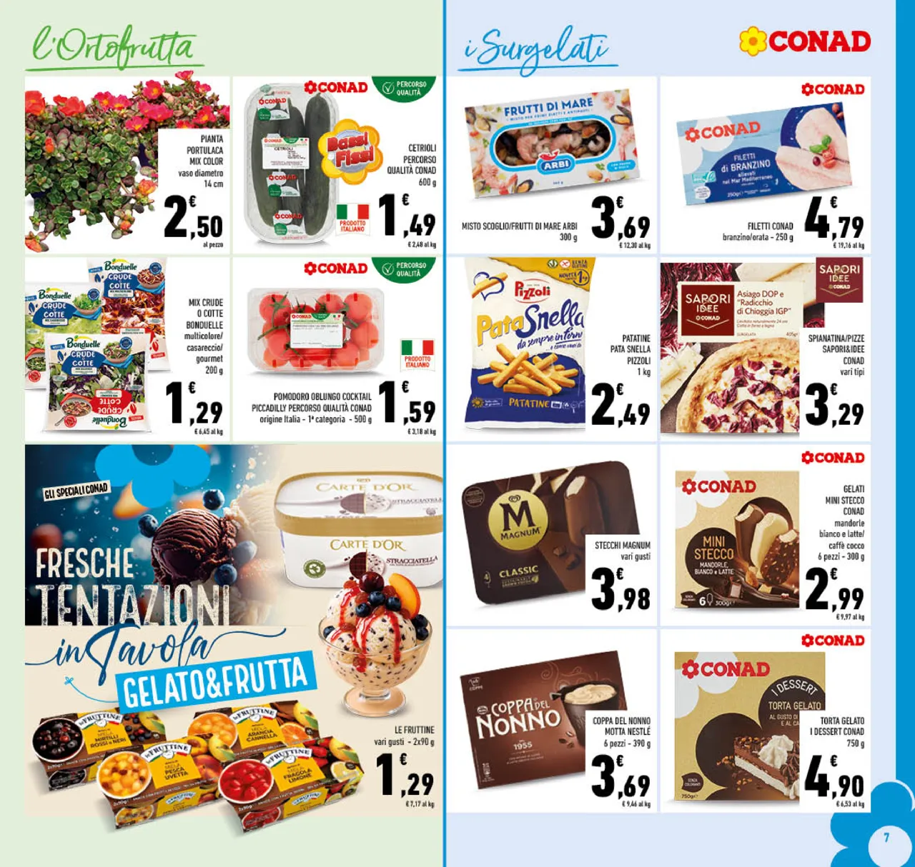 Pagina 7
