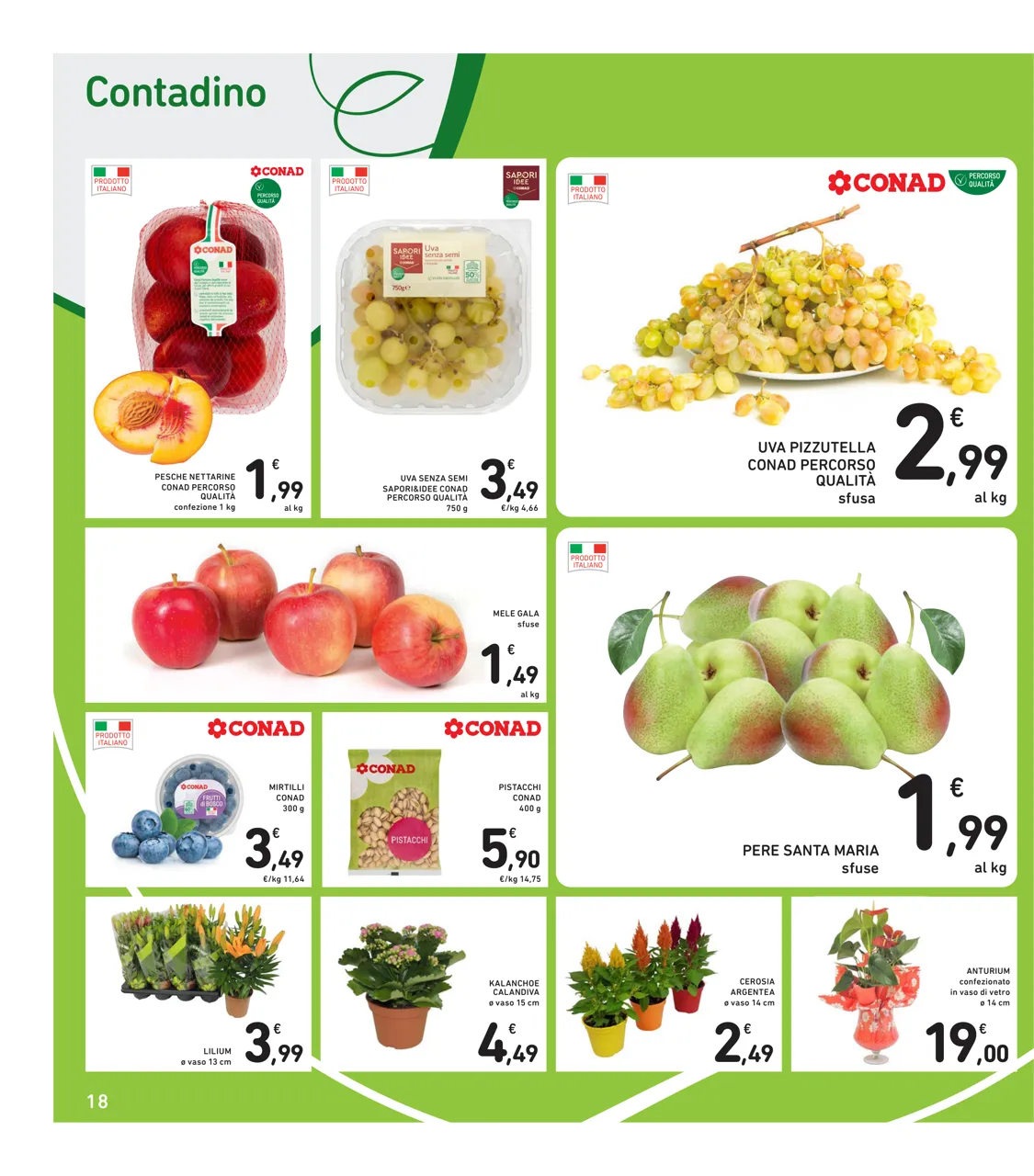 Pagina 18