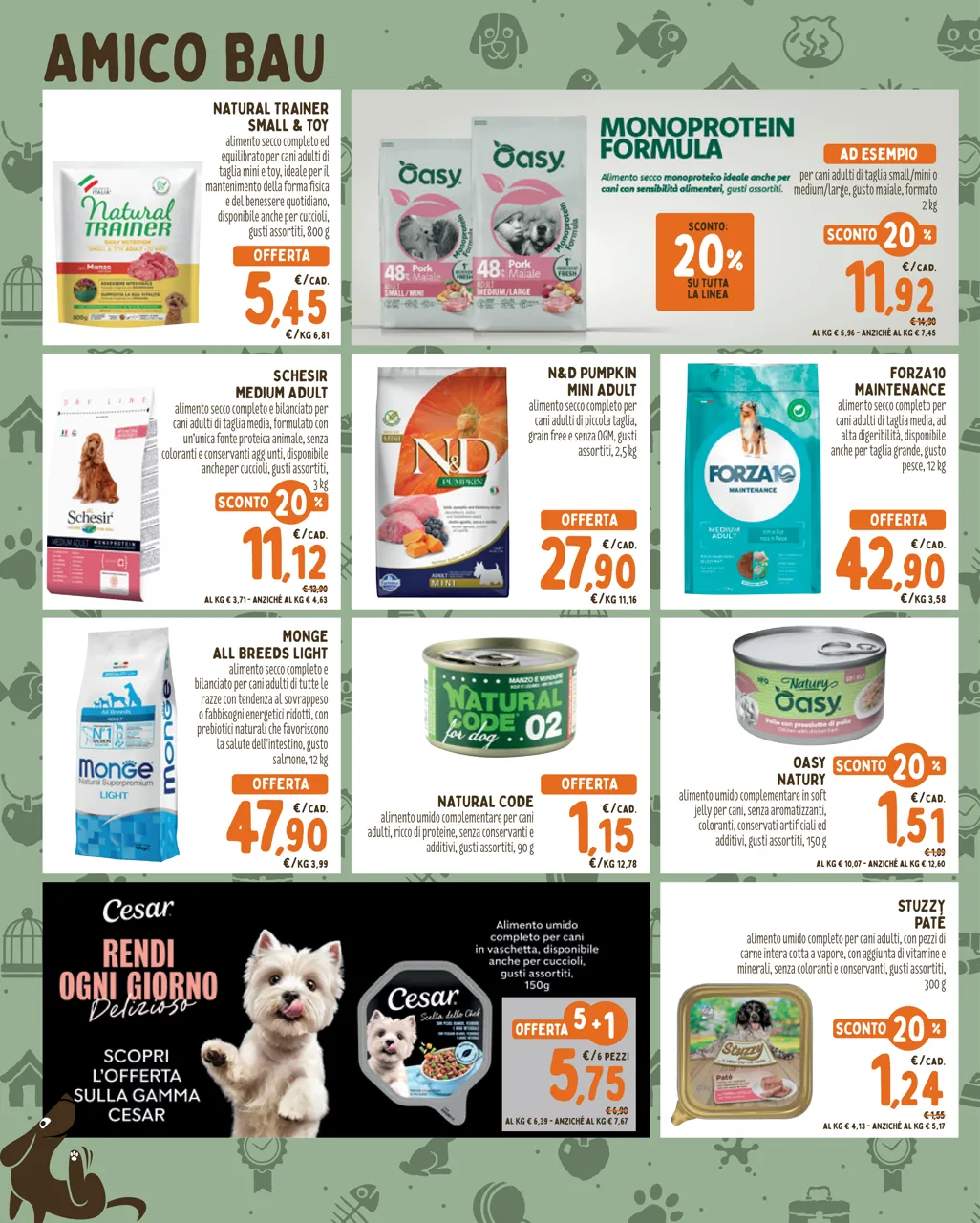 Pagina 2