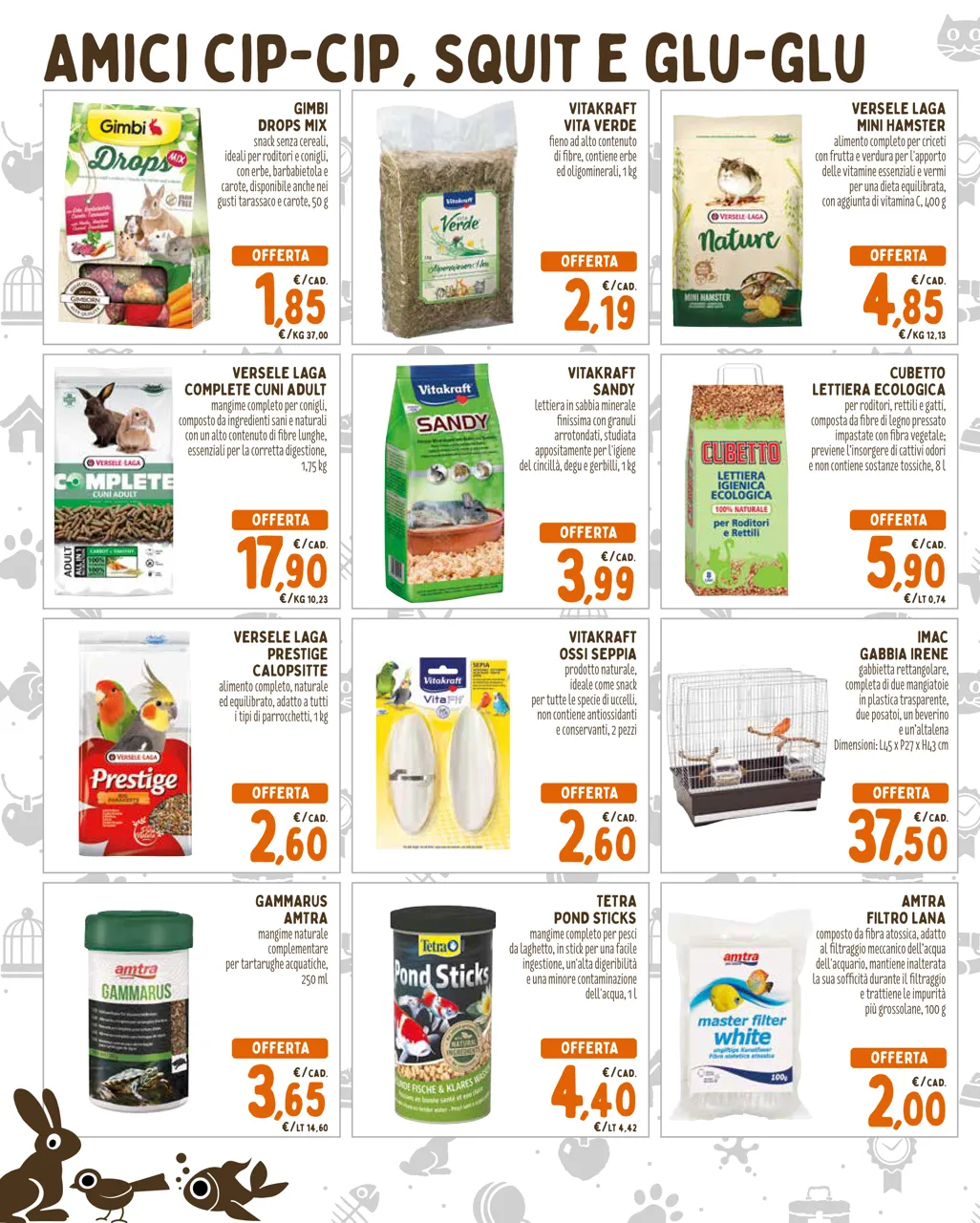Pagina 6