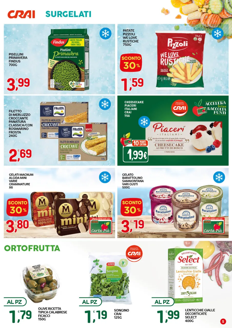 Pagina 5