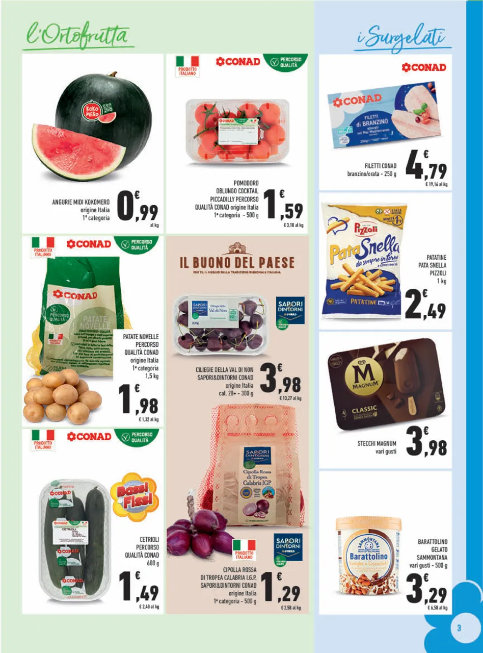 Pagina 3