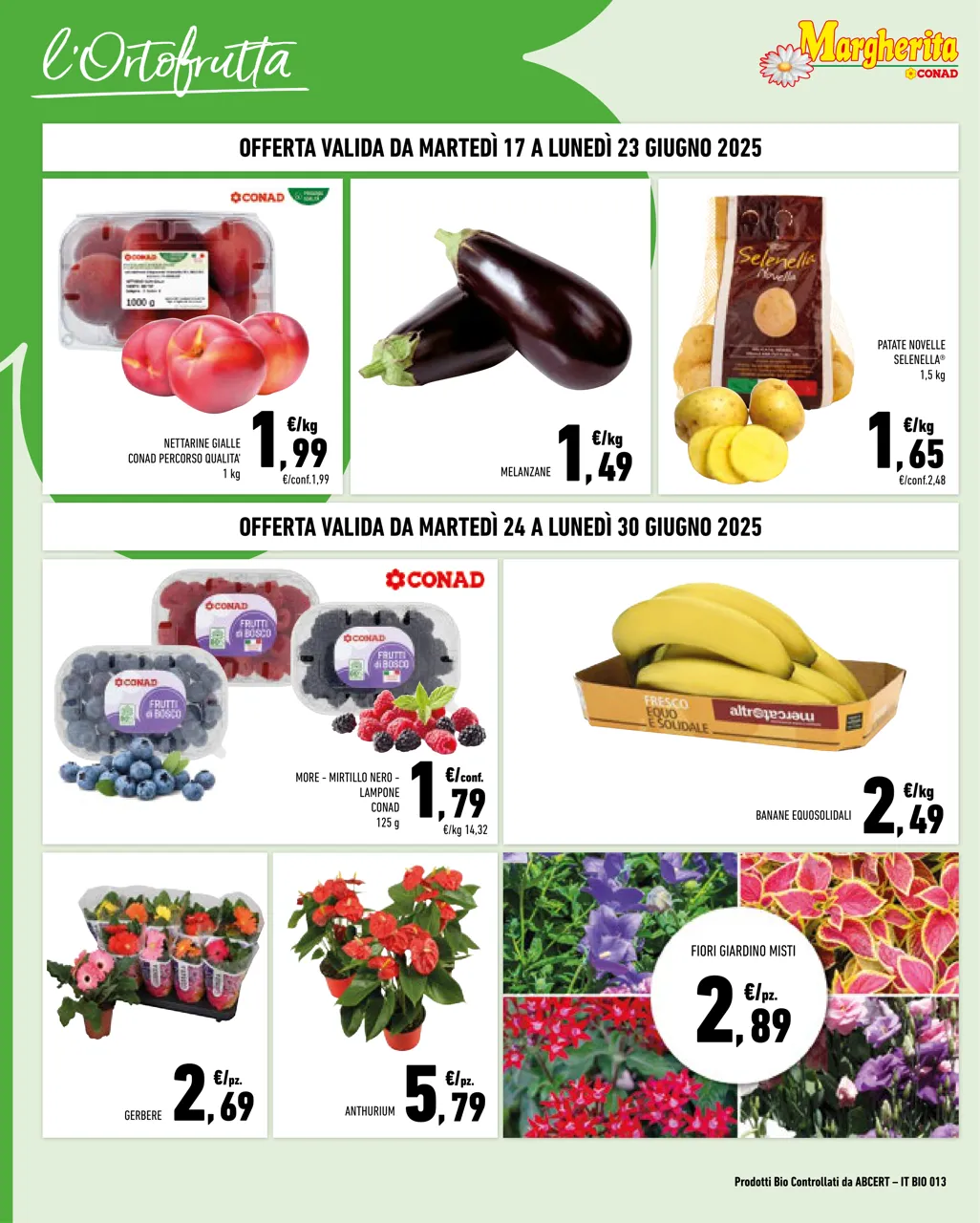 Pagina 2