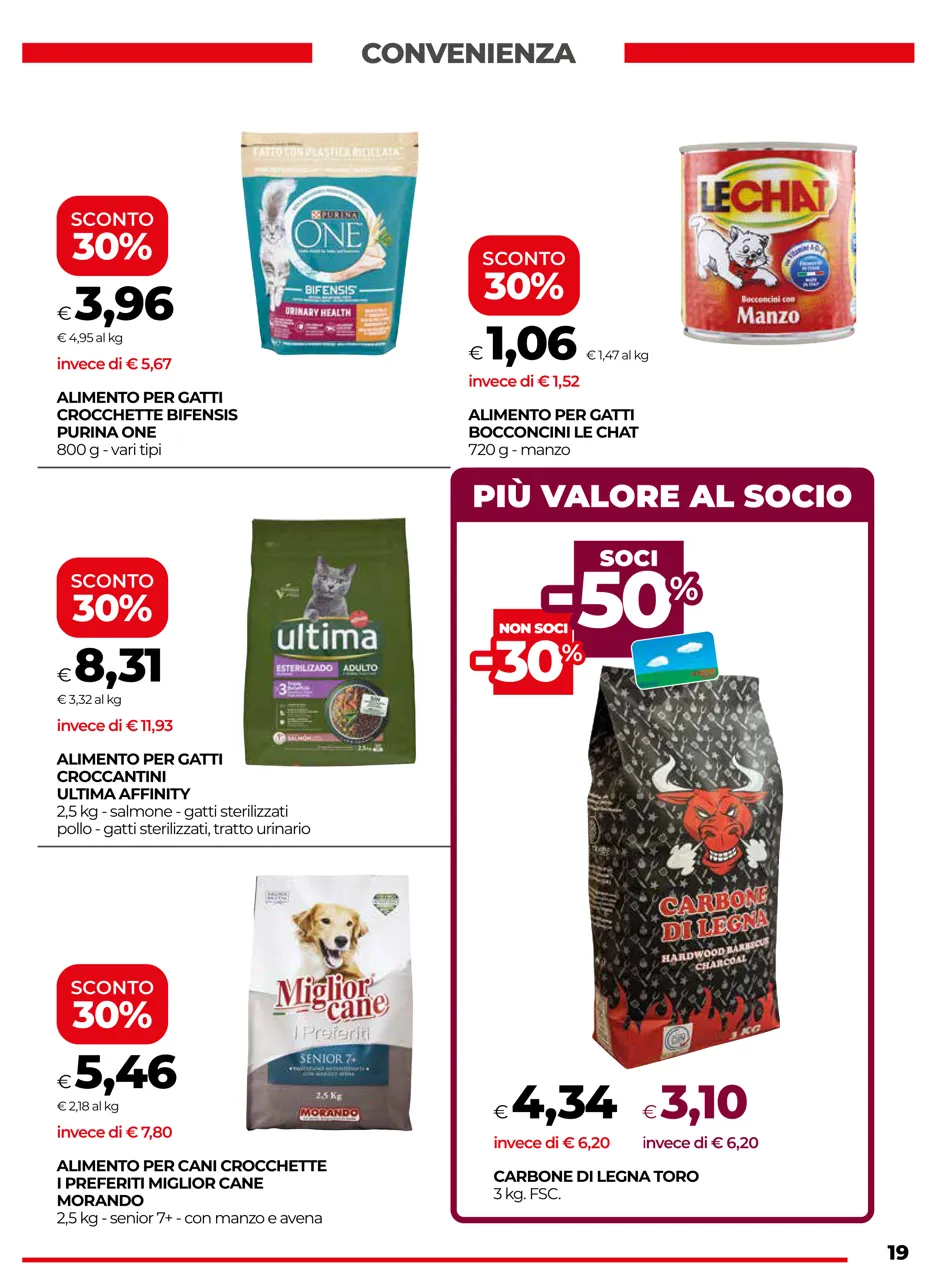 Pagina 19