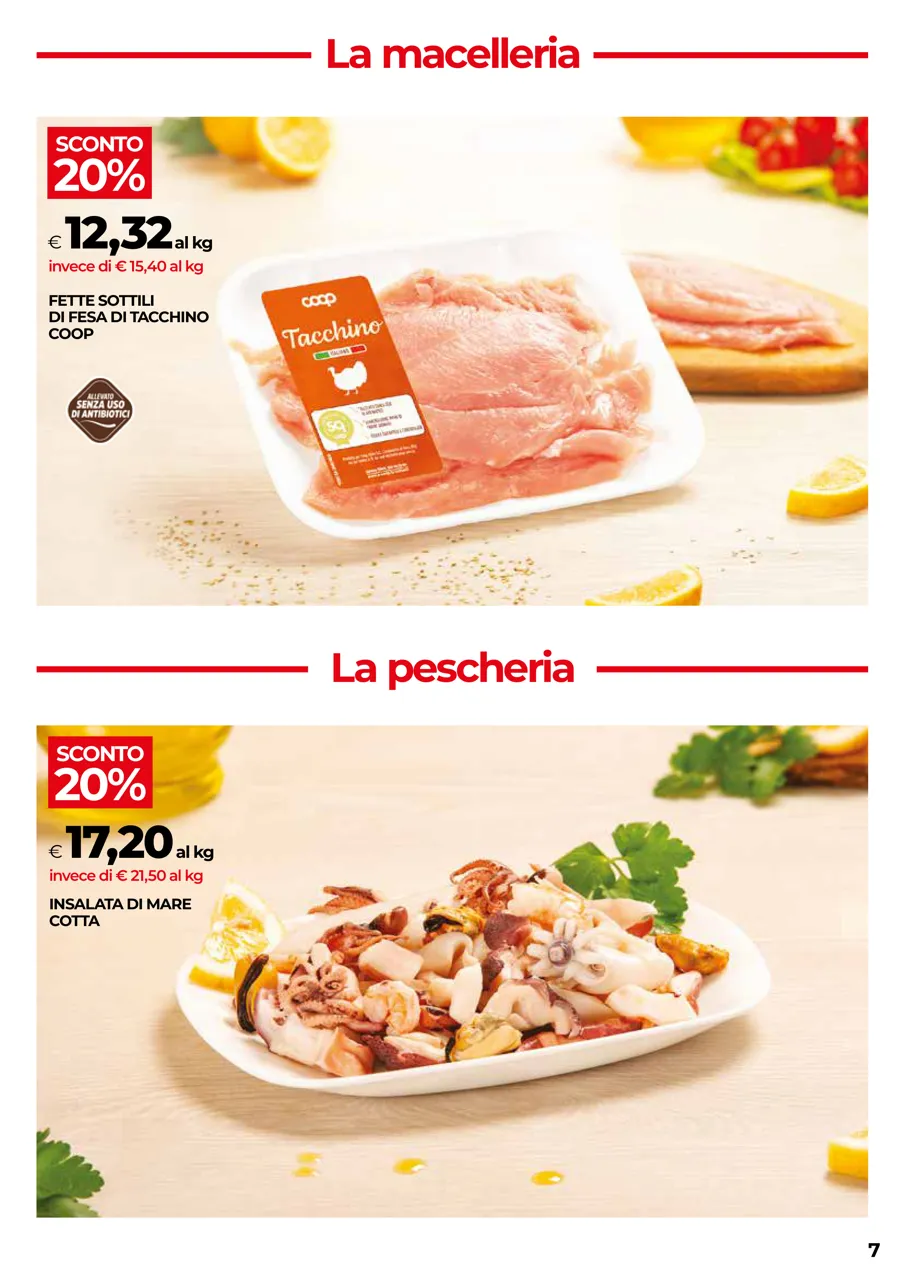 Pagina 7