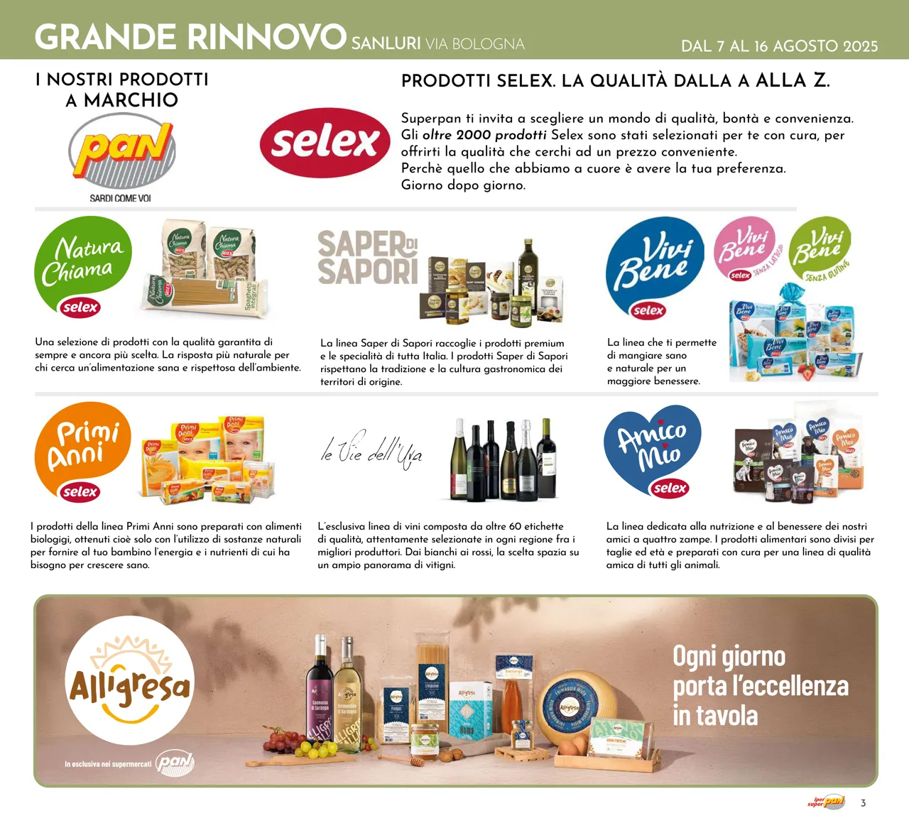 Pagina 3