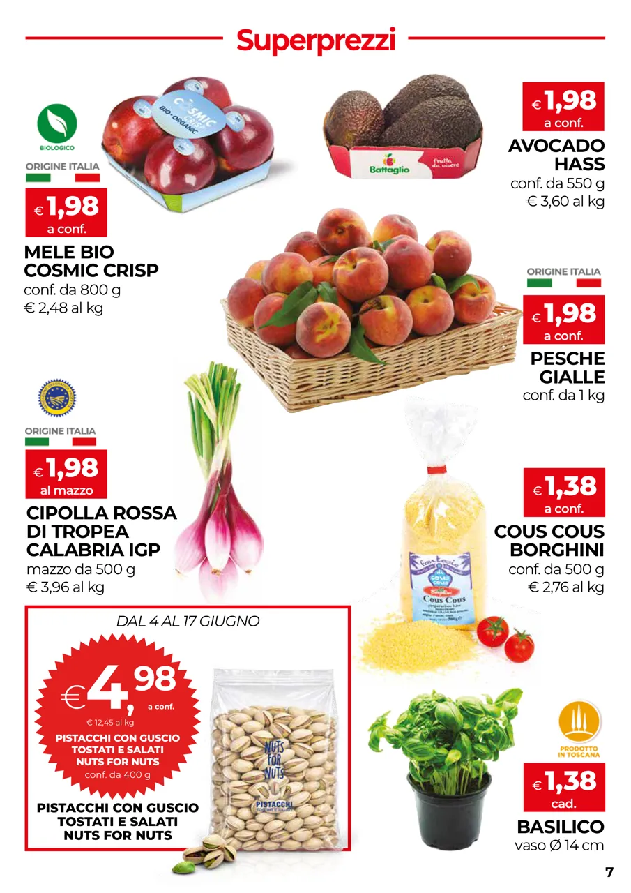 Pagina 7