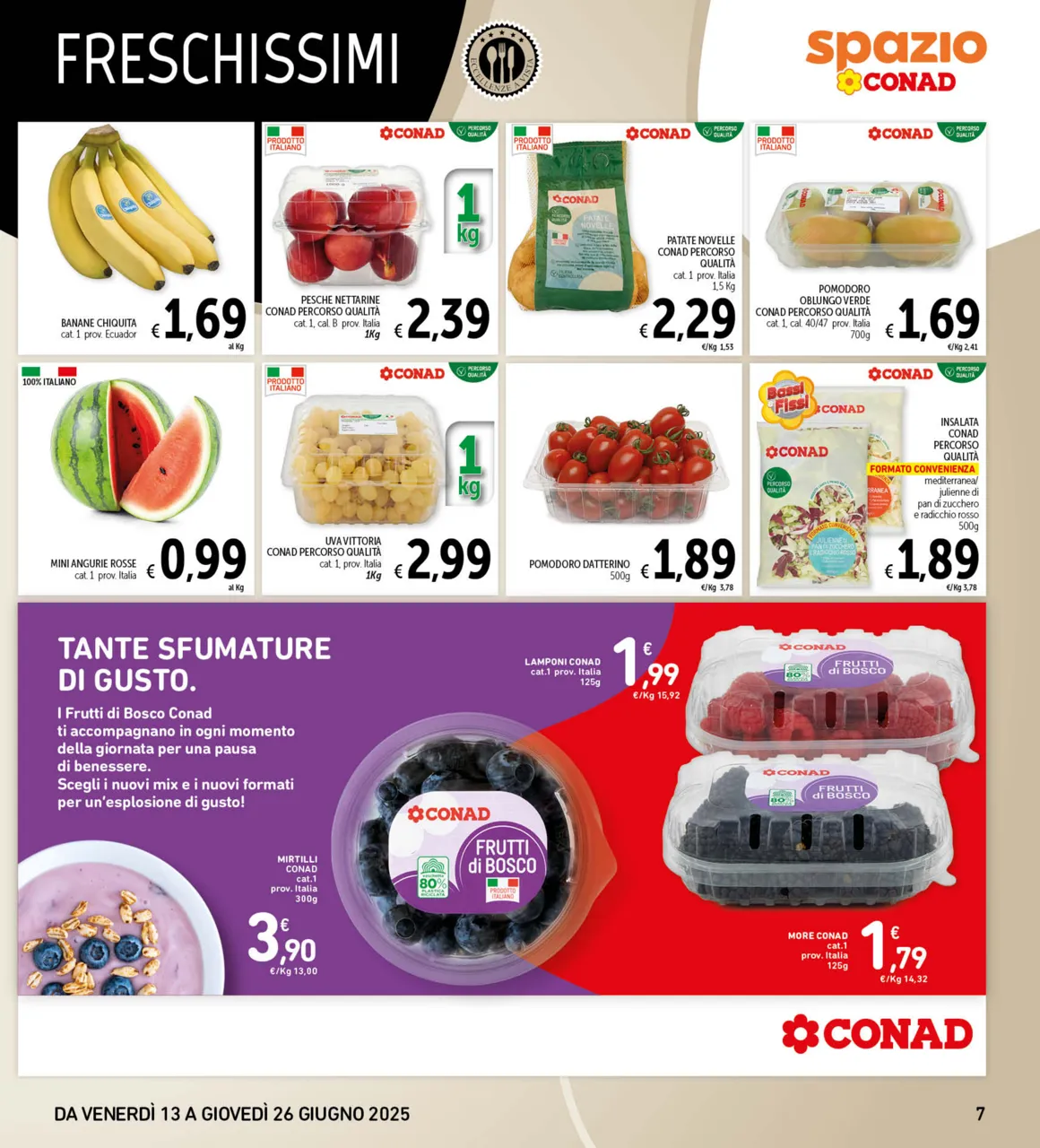 Pagina 7