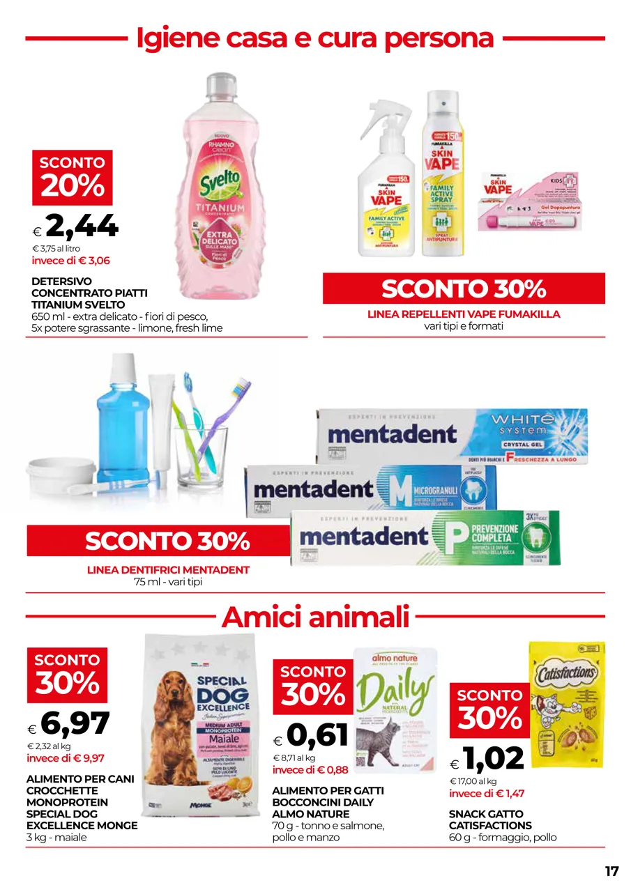 Pagina 17
