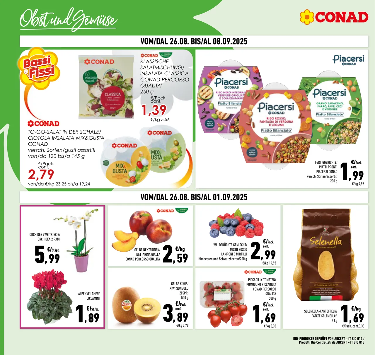 Pagina 2