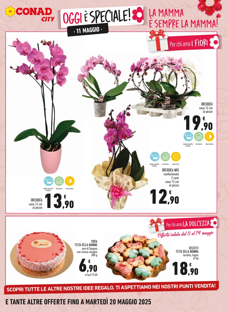 Pagina 9