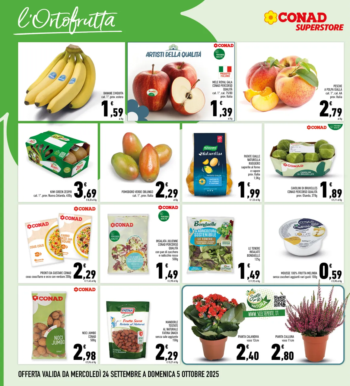 Pagina 4