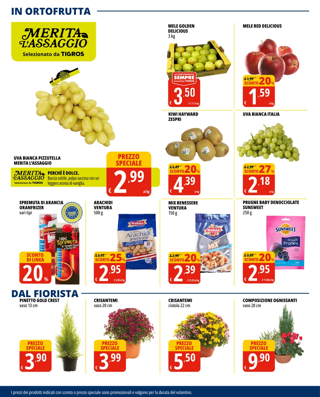 Pagina 6