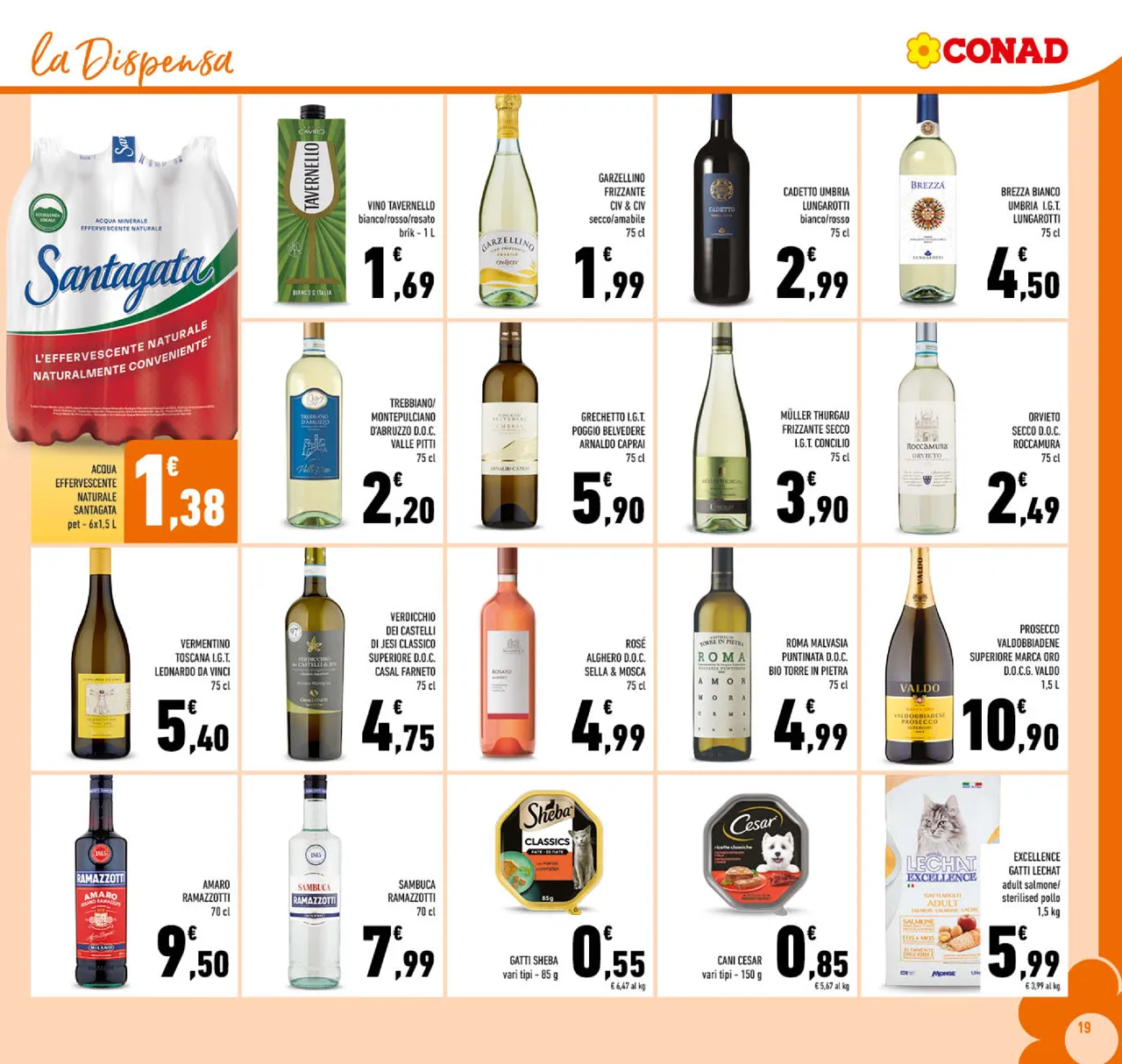 Pagina 19