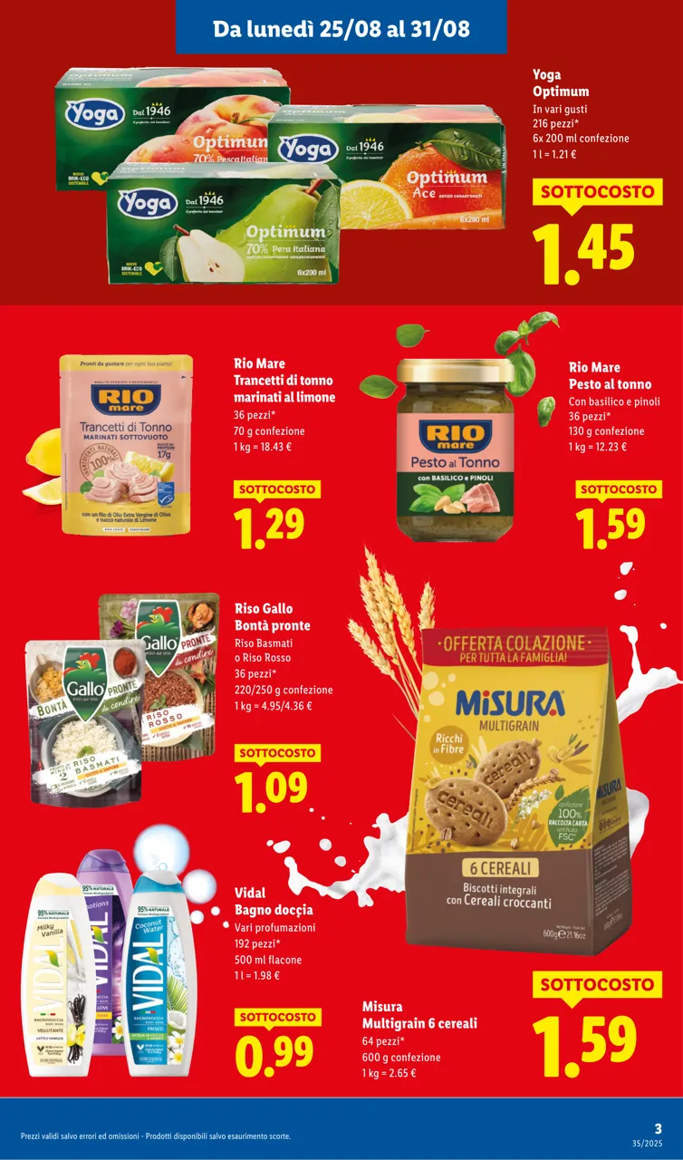 Pagina 3