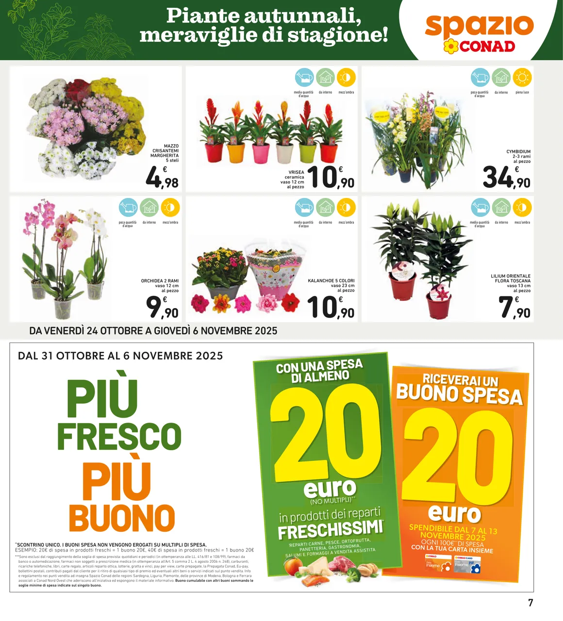 Pagina 7