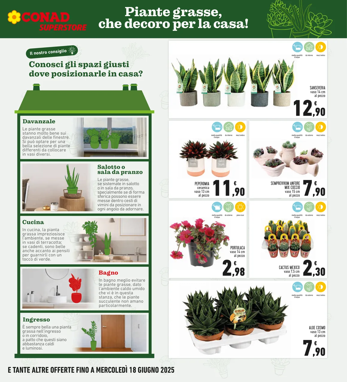 Pagina 7
