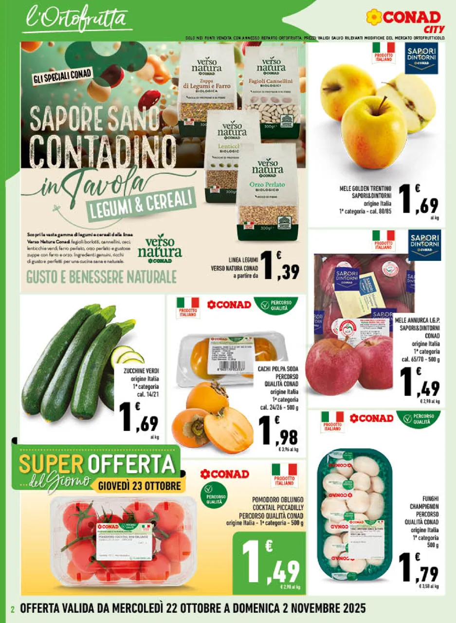 Pagina 2