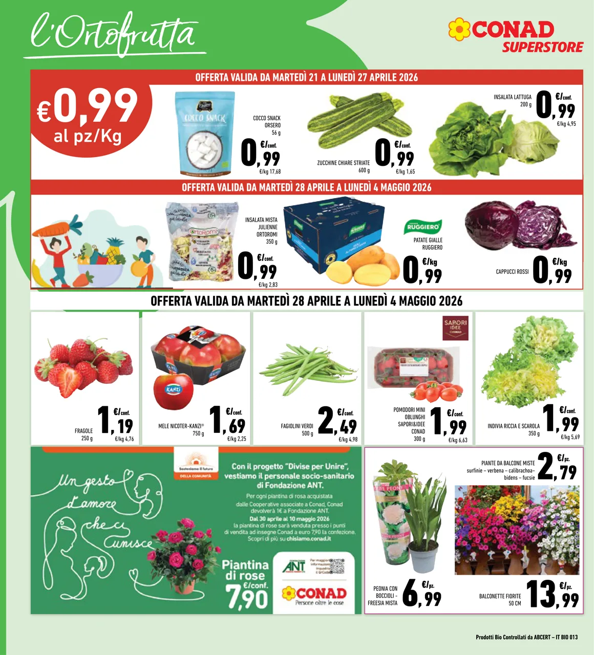 Pagina 6