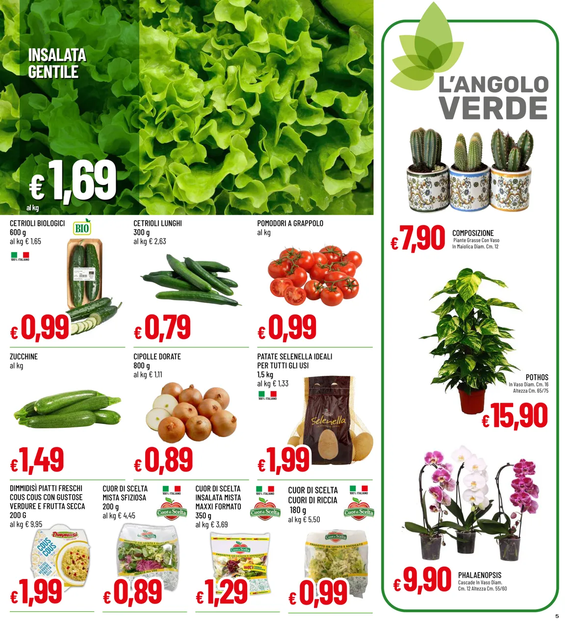 Pagina 5
