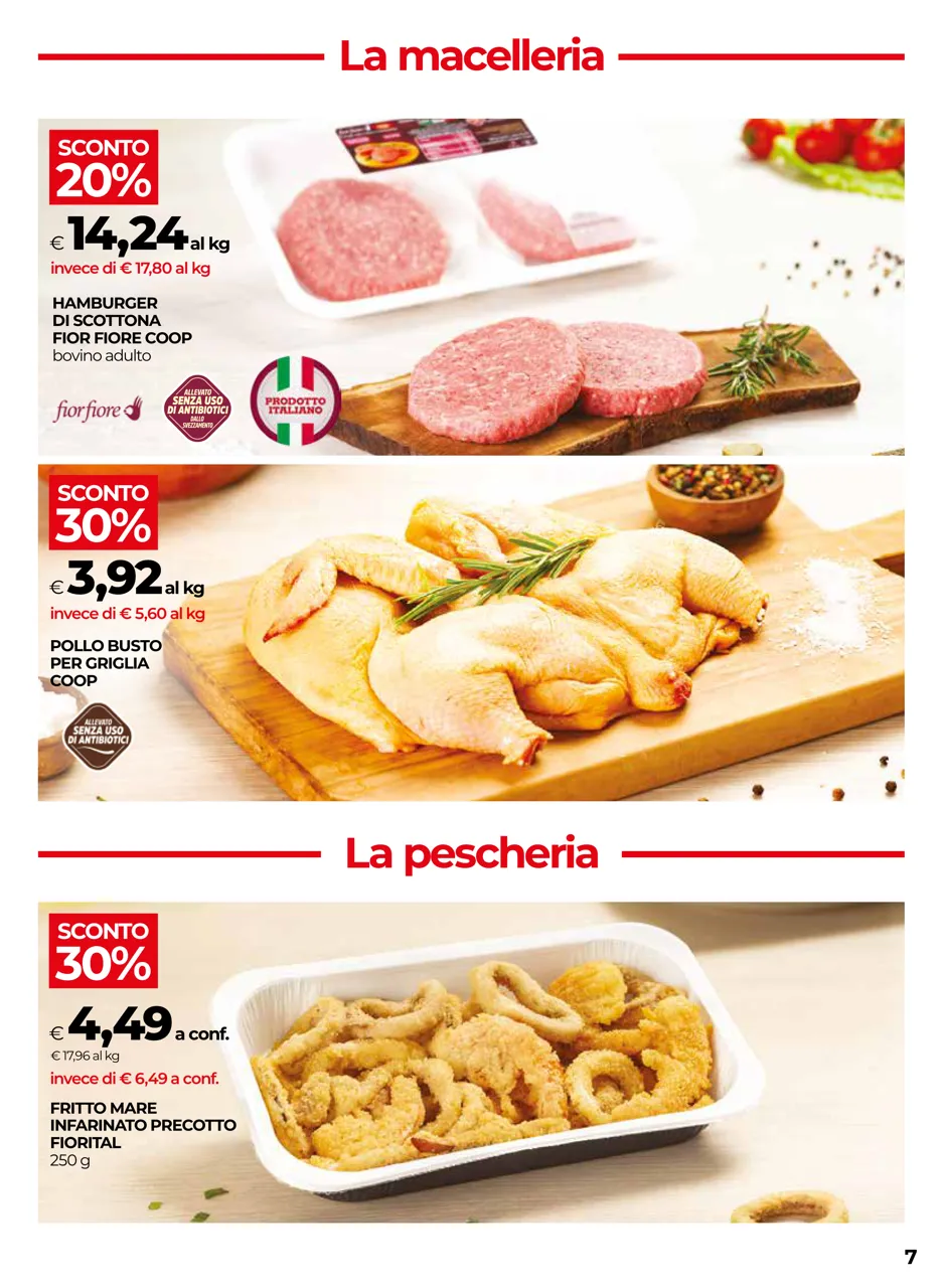 Pagina 7
