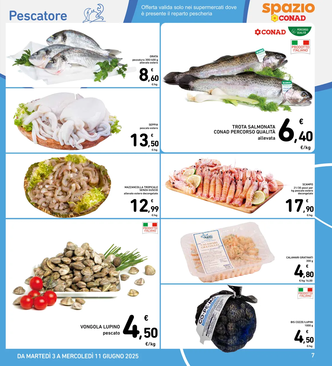 Pagina 7