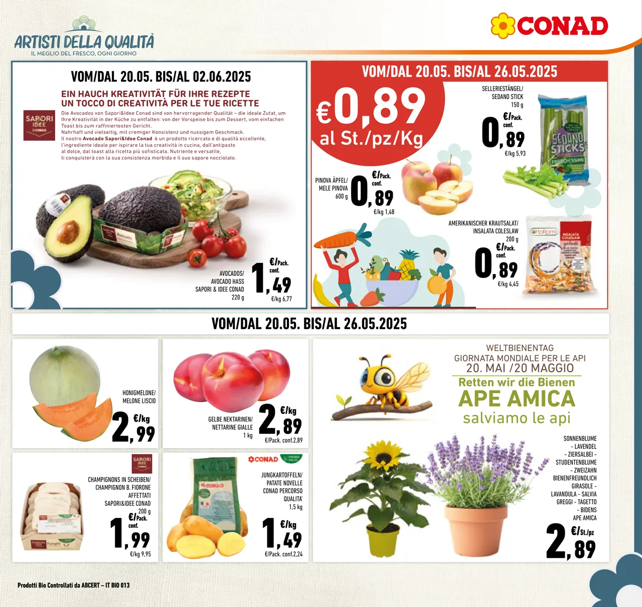 Pagina 3