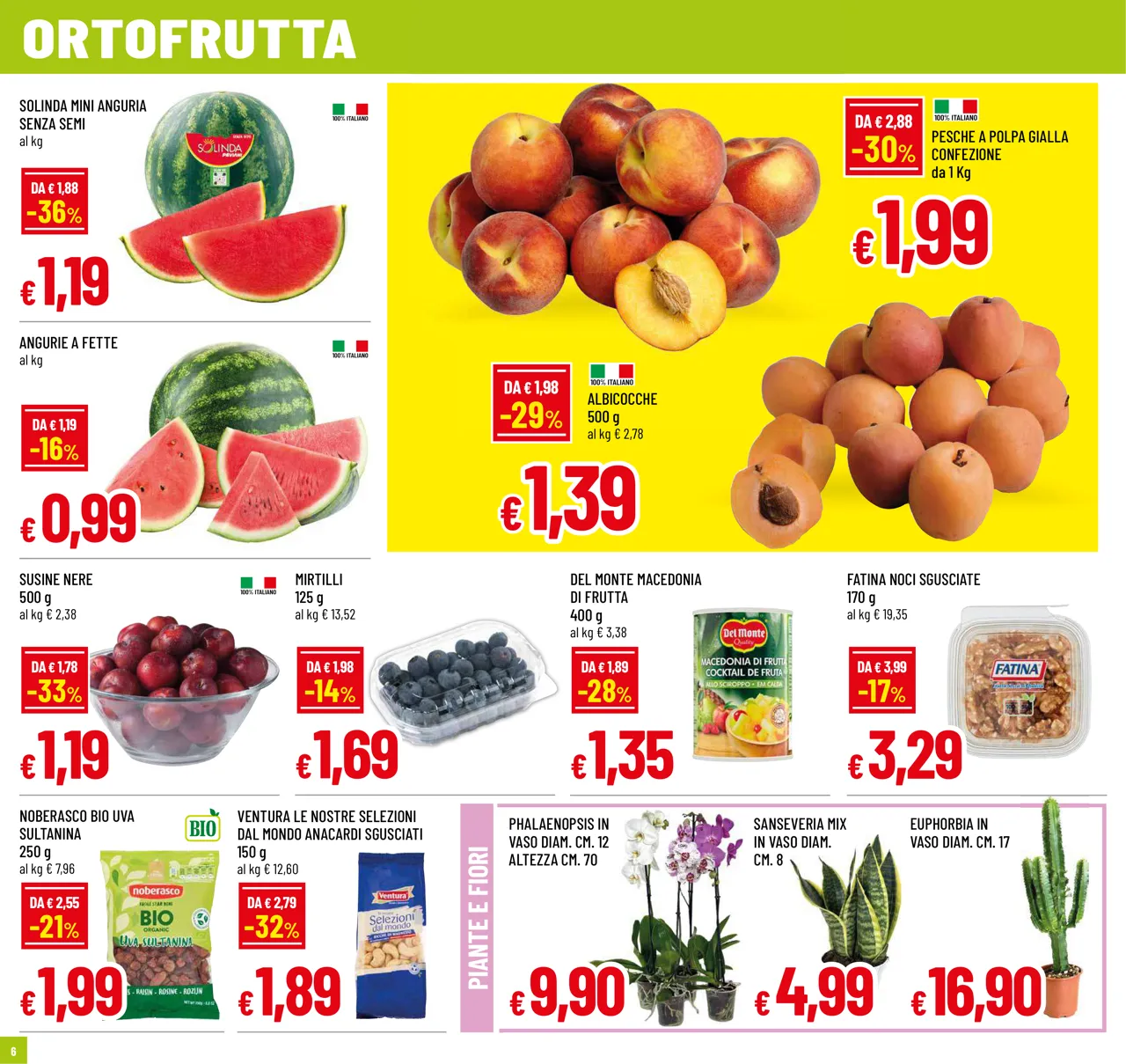 Pagina 6