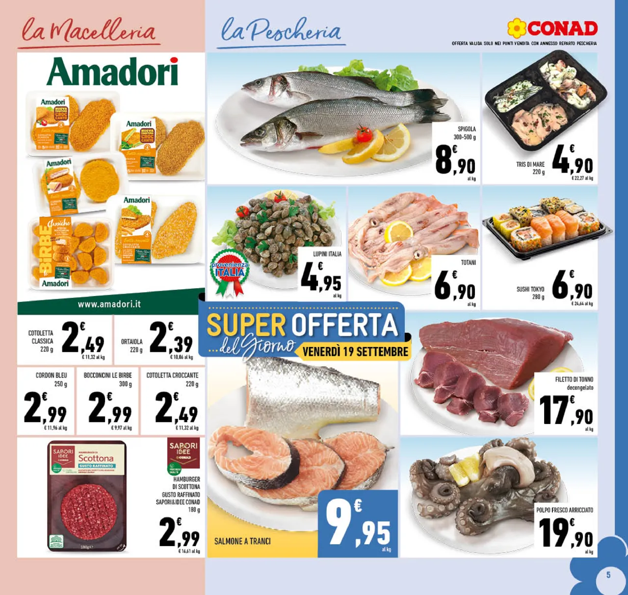 Pagina 5