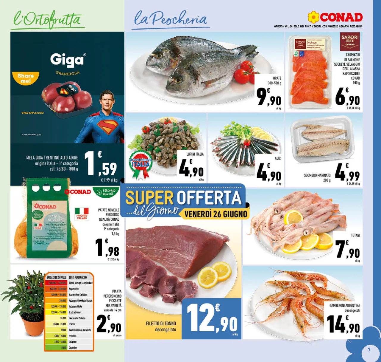 Pagina 7