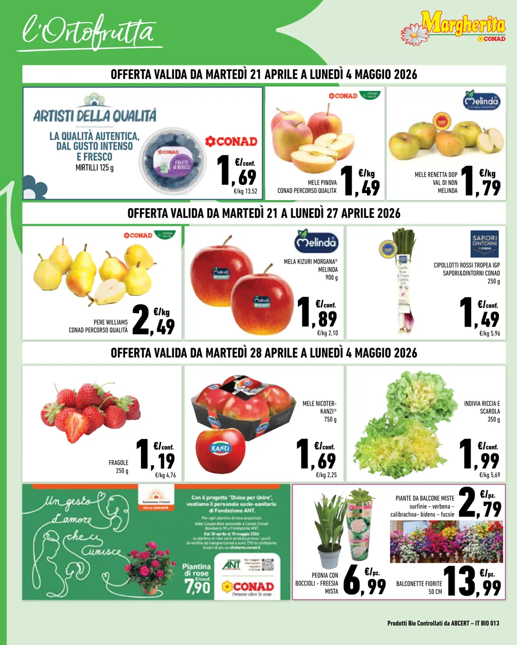 Pagina 4