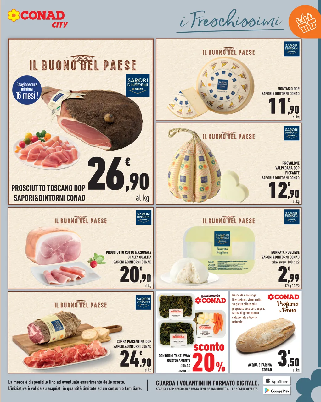 Pagina 7