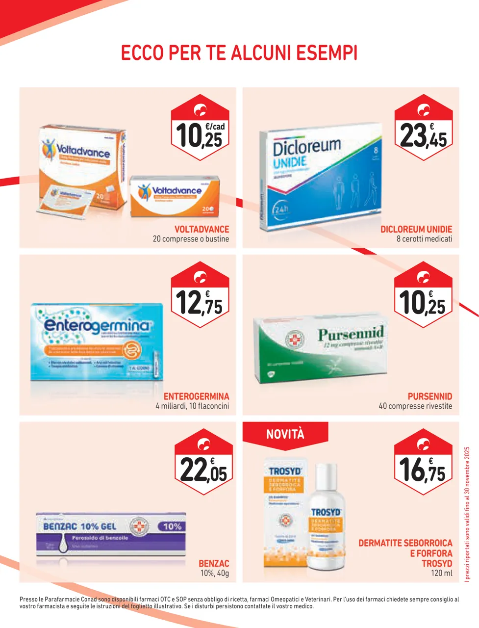 Pagina 31