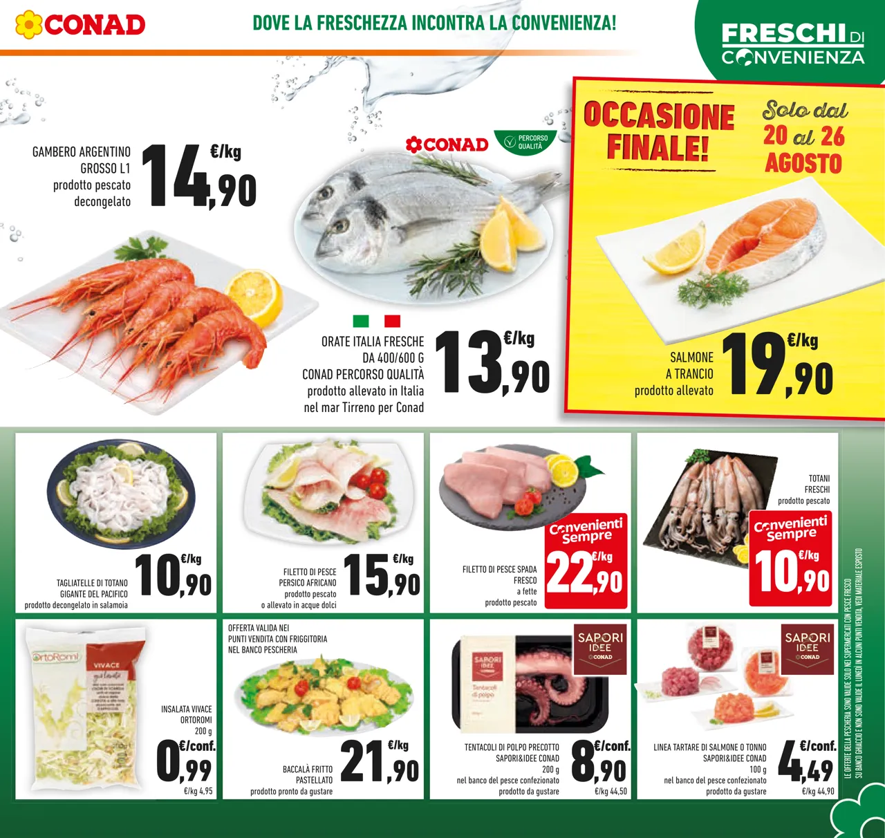 Pagina 3