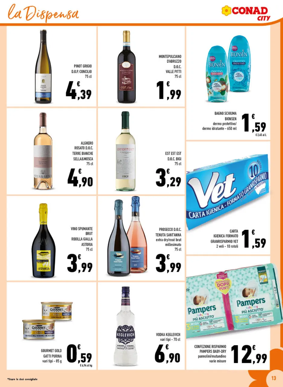 Pagina 13