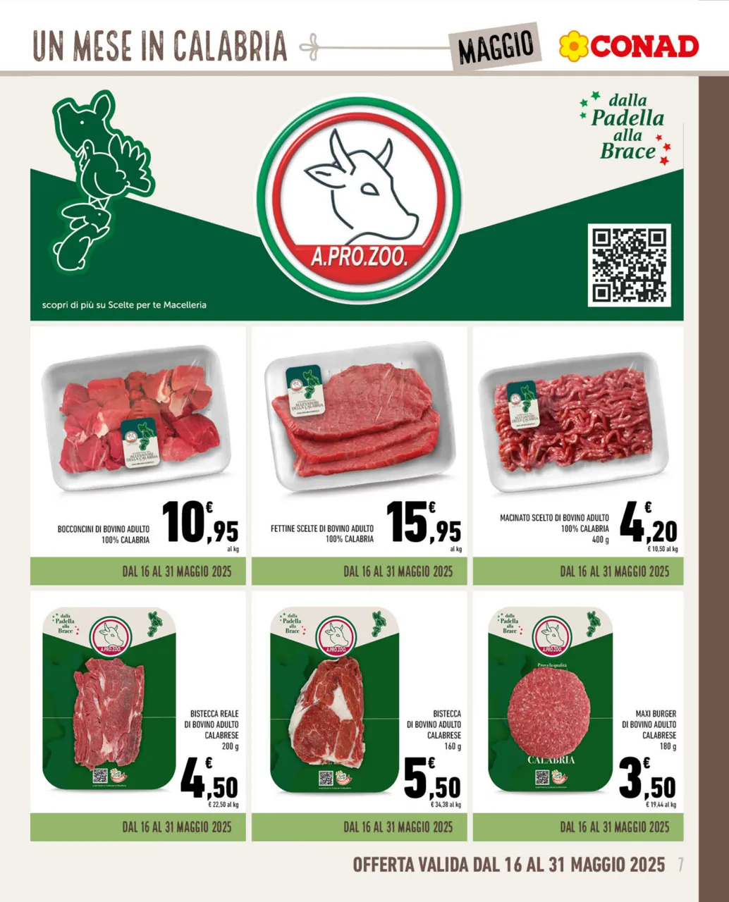 Pagina 7