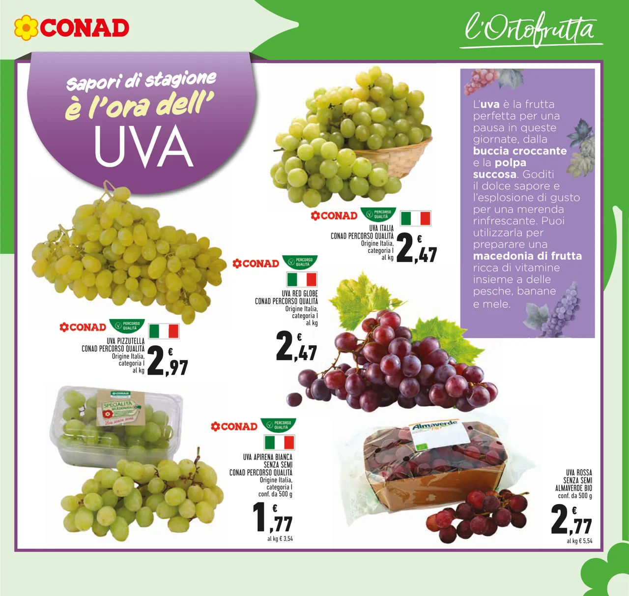 Pagina 7