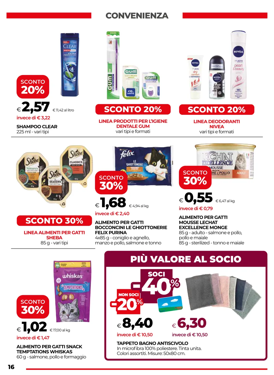 Pagina 16