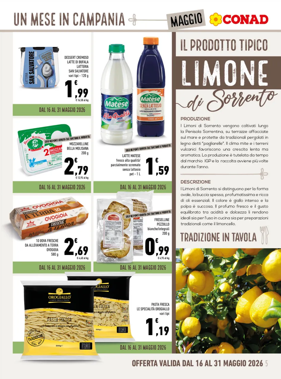 Pagina 5