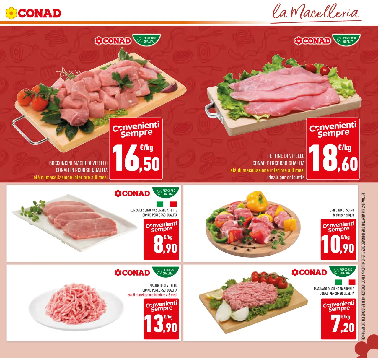 Pagina 11