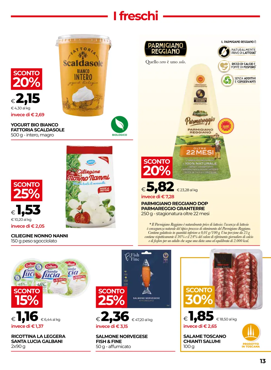 Pagina 13