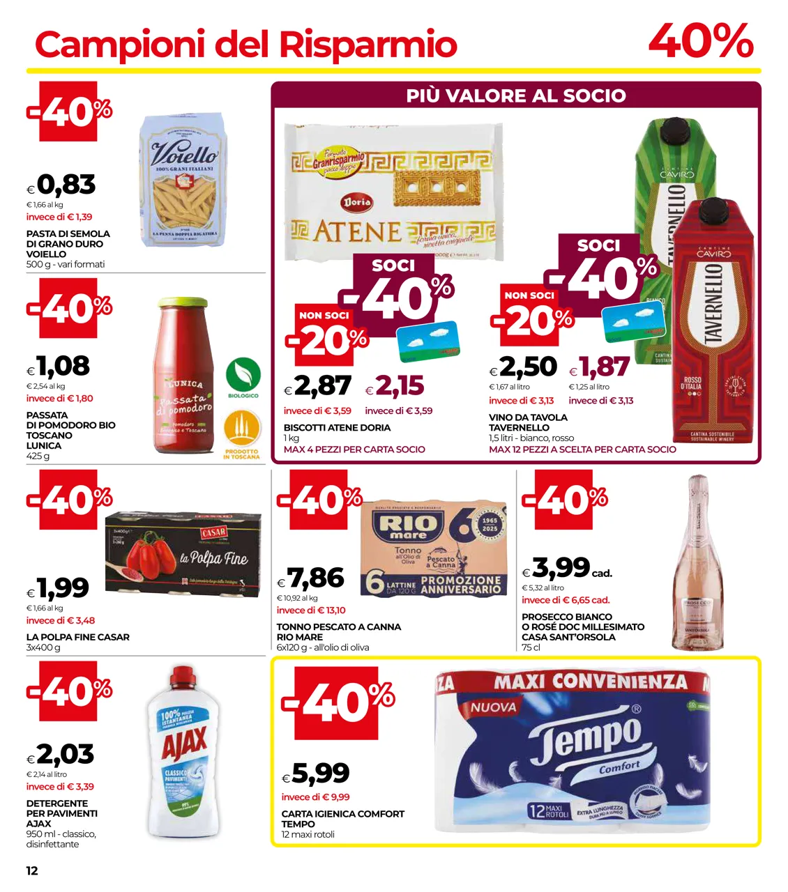 Pagina 12
