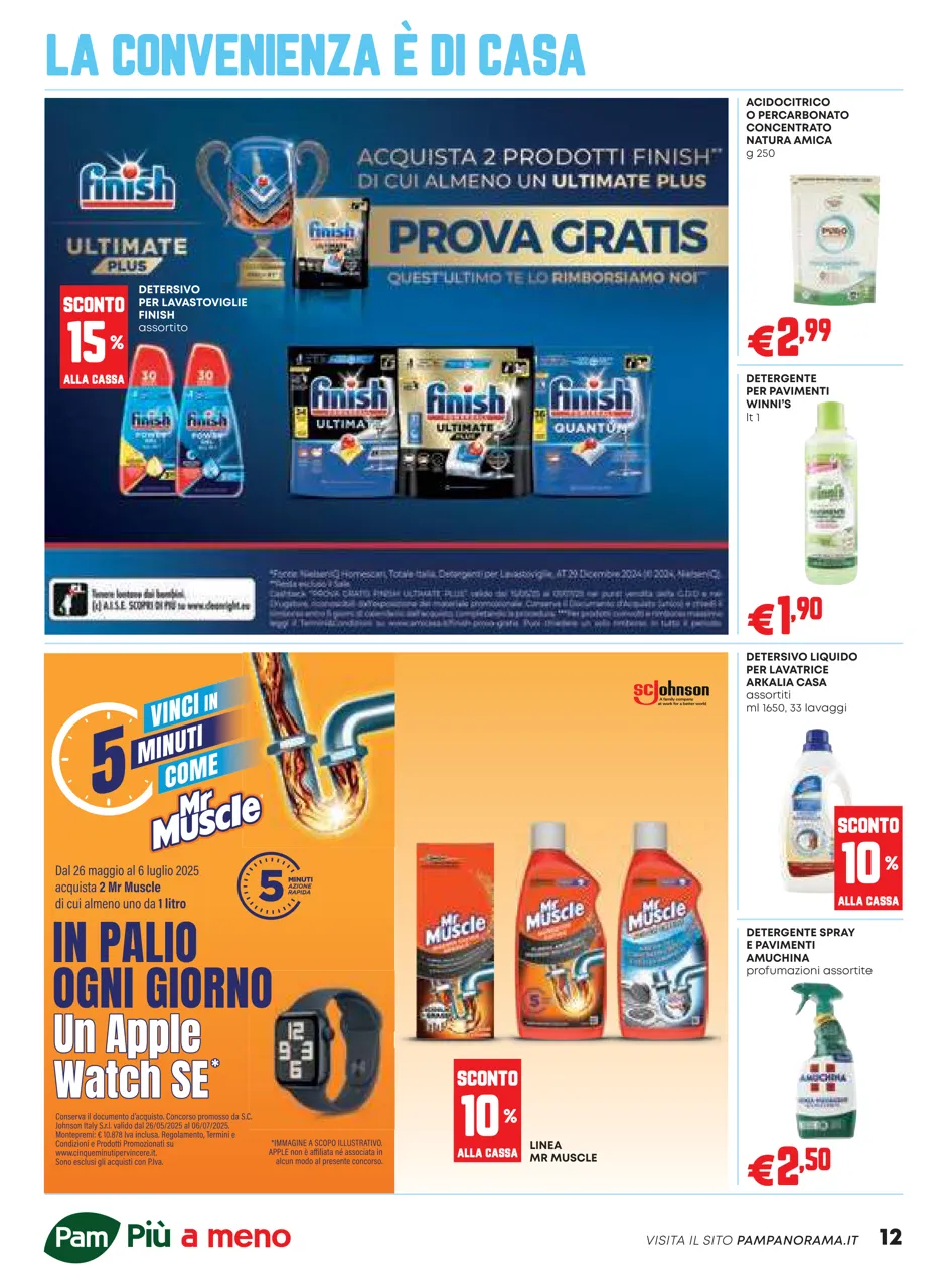Pagina 12