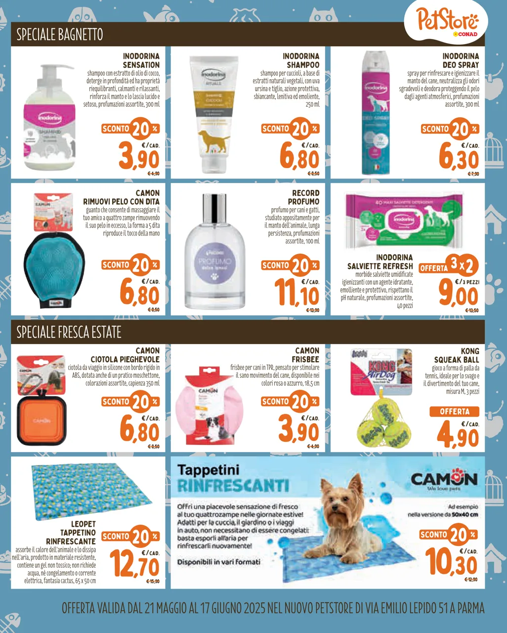 Pagina 11
