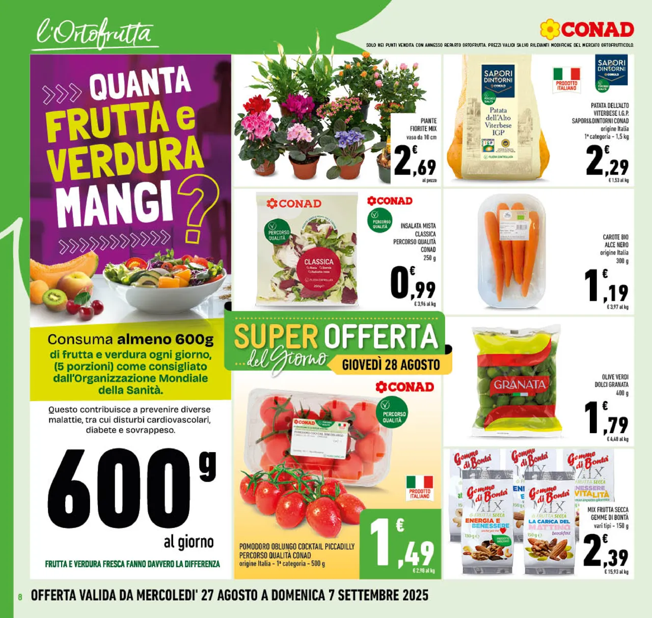 Pagina 8