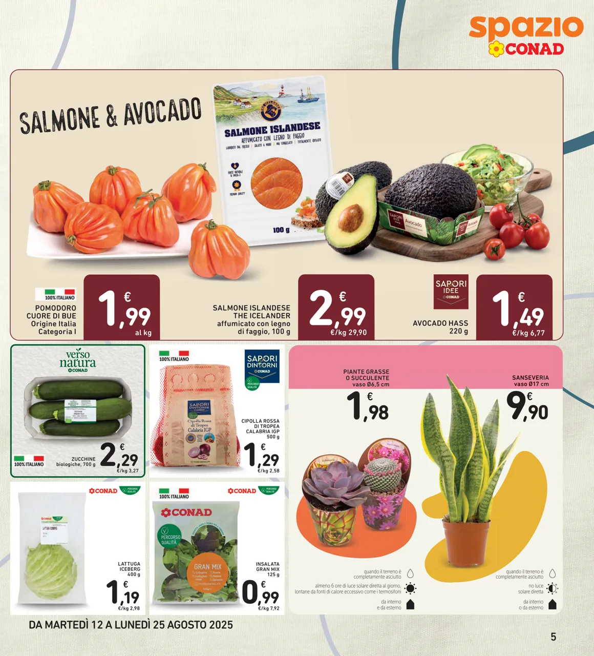 Pagina 5